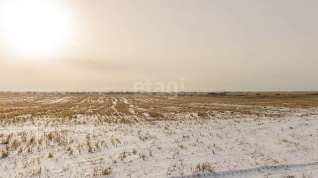 10278086 смотреть онлайн
