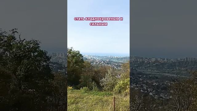 пятый способ важен