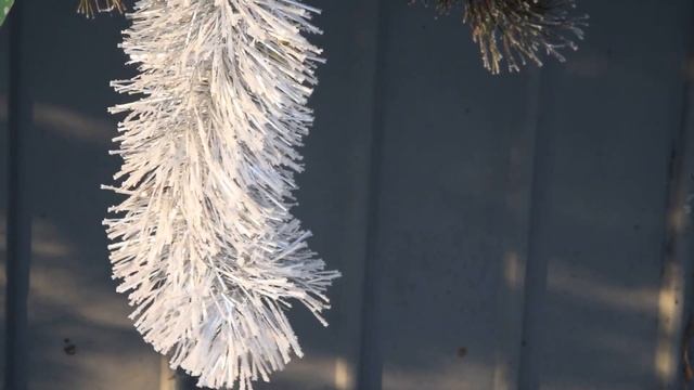 ЗАБЫТАЯ МИШУРА Футаж смотреть онлайн