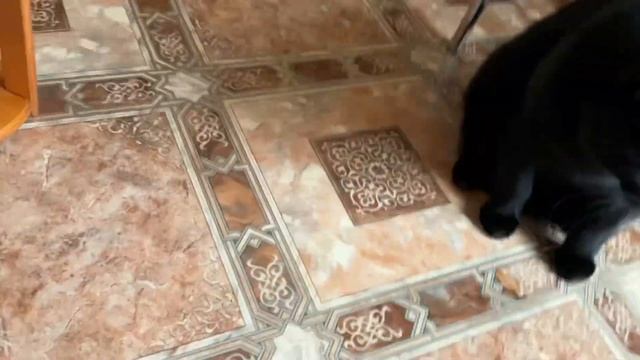 Кругом обман. смотреть онлайн