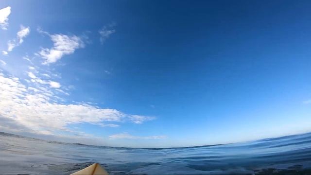 Journée de Tubes Dingo Novembre 2020 Lacanau POV смотреть онлайн
