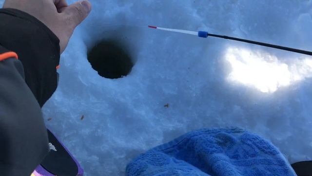 ОЗЕРО ХАНТО, РЫБАЛКА НА МОРМЫШКУ СО ЛЬДА. смотреть онлайн