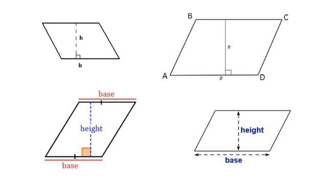Area of Rectangles and Parallelograms.mp4 смотреть онлайн