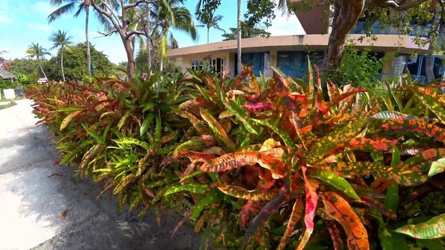 VARADERO | CUBA 2023 | Muthu Playa Varadero смотреть онлайн