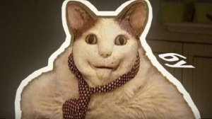 бу испугался не бойся откуда мем?