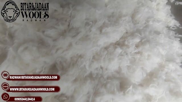 No. 103 -Pure White English Wool (30) micron, (4-5) inches смотреть онлайн