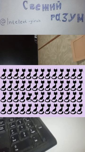 Найдите отличие коты Find the difference cats смотреть онлайн