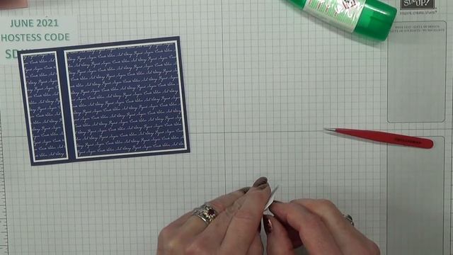No.591 - Bookbinding Explosion Card - JanB No.5 Top UK Stampin' Up! Independent Demonstrator смотреть онлайн