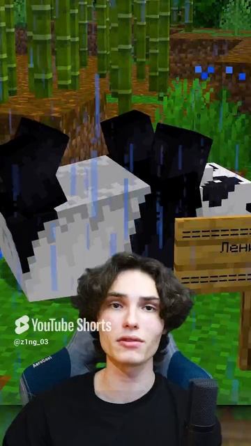 75 СЕКРЕТОВ МАЙНКРАФТ #minecraft #майнкрафт #секретымайнкрафт (16) смотреть онлайн