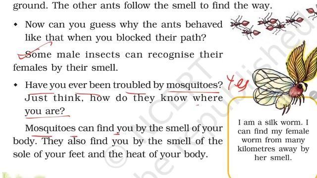 Super Senses (Page 1-5) / Class-5 EVS Chapter 1 Explanation and NCERT Question Answers by KV Teache смотреть онлайн