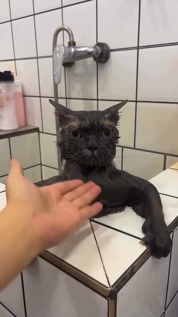 понедельник.mp4