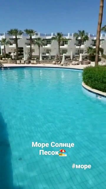 Море пальмы 🏖#shotsvideo #shots смотреть онлайн