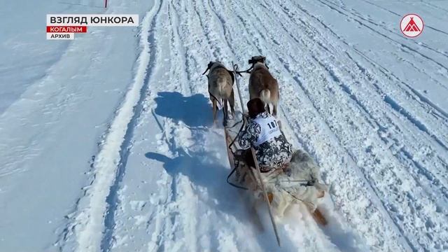 «Взгляд юнкора». Национальные виды спорта смотреть онлайн