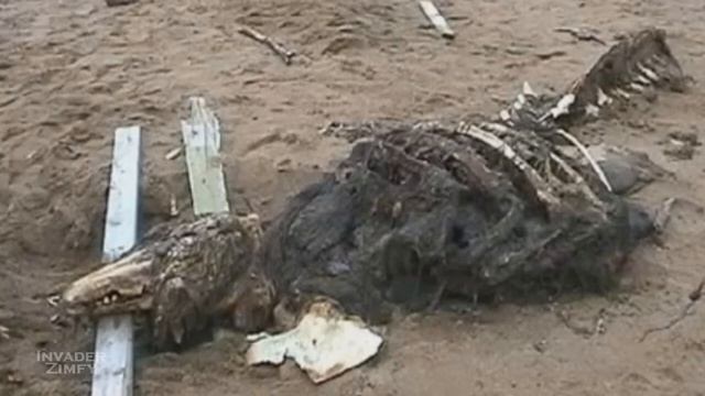 SCP - 682 неуязвимая рептилия