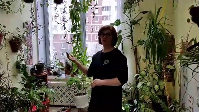 Интерактивное пространство "Юный эколог" смотреть онлайн