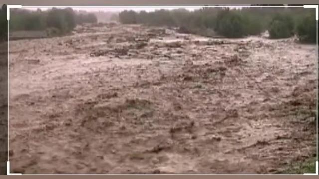 Табигый кырсыктар (Кайтарым байланыш) смотреть онлайн