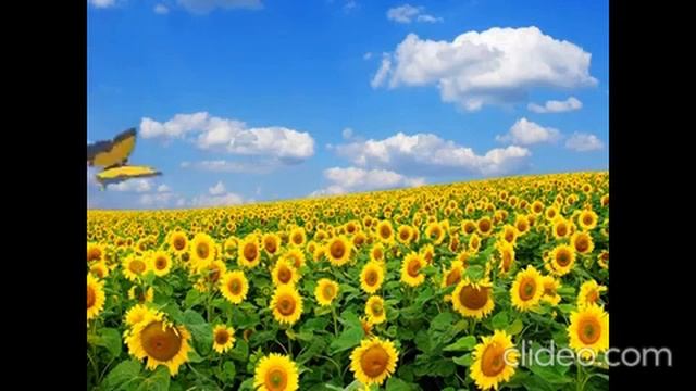 1 клас Нуш сантиметр смотреть онлайн