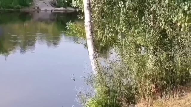 ВСЯ ЧЕТВЕРКА В СБОРЕ. ОЛЬГА УРАЛОЧКА LIVE. ОБЗОР. смотреть онлайн