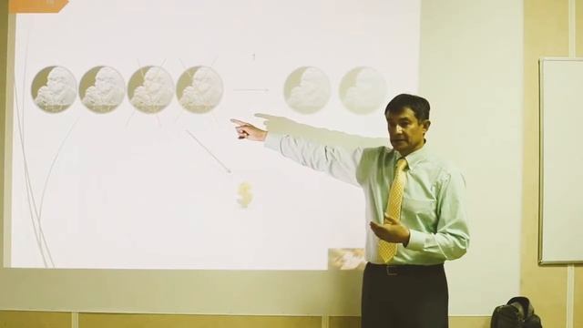 О стратегиях инвестирования в монеты смотреть онлайн
