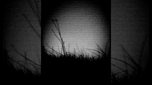 Волновая Функция - Сбился с пути (slowed + reverb) смотреть онлайн