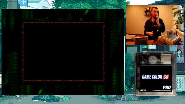 Everdrive GB/GBC Aliexpress - обзор, возможности.