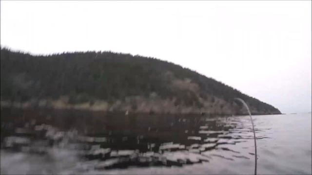 КРУПНАЯ ЧАВЫЧА УШЛА! НО НЕ ВСЕ ПОТЕРЯНО (KING SALMON) смотреть онлайн