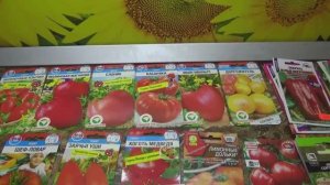 Какие томаты новинки я буду сеять в 2025 году? Только самые лучшие!