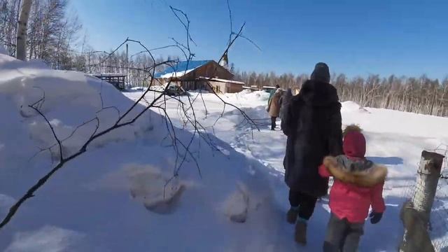 восьмое марта#комсомольскнаамуре #моиродные #прогулка #ферма смотреть онлайн