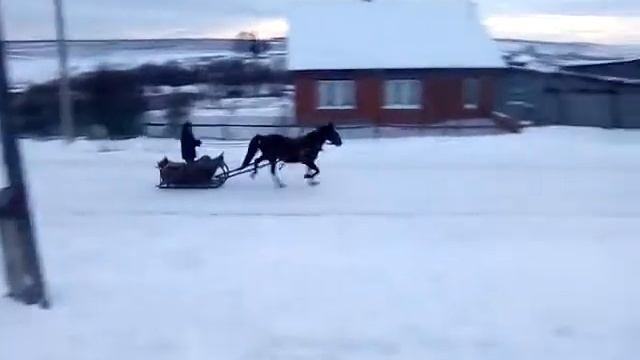 Сальто перед ментами,18+ смотреть онлайн