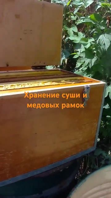 23 июля 2024 г. смотреть онлайн
