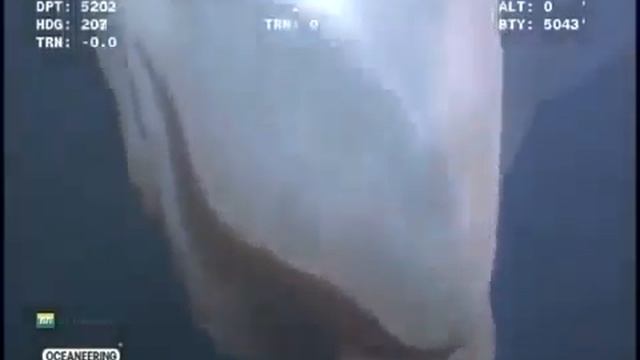 🌀Amazing Sea Creature Captured by Deep Sea Underwater Camera !!!! смотреть онлайн