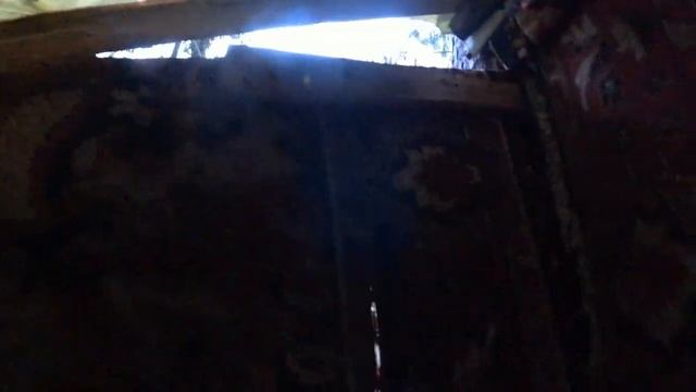 Проверка кормушек и корма для кабанов в охотугодьях смотреть онлайн