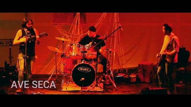 AVE SECA - "Charango dance"- en vivo смотреть онлайн