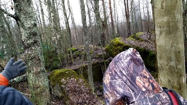 Экскурсия 22-02-2020-5 смотреть онлайн