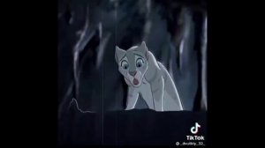 кв коты-воители из тик тока #1 #котывоители #кв