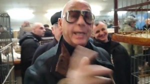 Всероссийская выставка голубей в ЦСКА.18.01.2025