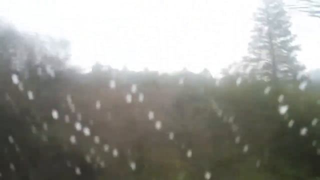 Forest Diver смотреть онлайн