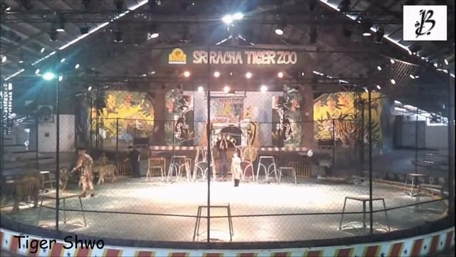 Tiger Show Sriracha Tiger Zoo смотреть онлайн