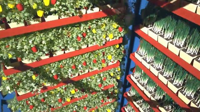 Dahir Insaat Greenhouse