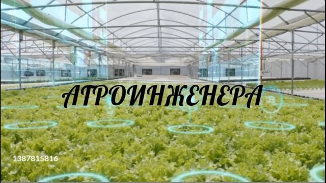 Средняя школа 137 Агроинженер смотреть онлайн