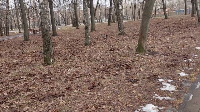 ВОРОНЫ ПРИЛЕТЕЛИ смотреть онлайн