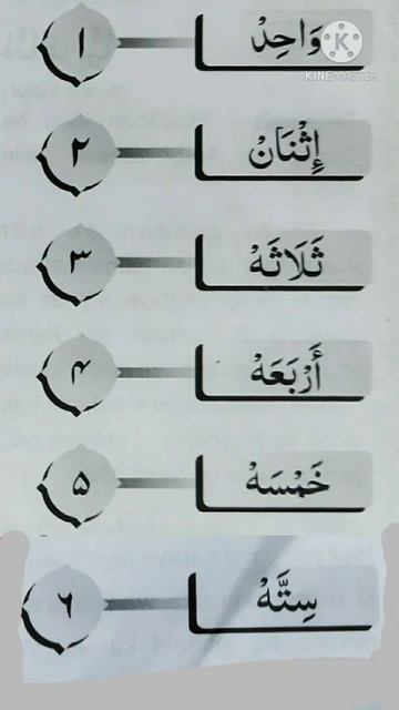 Numbers in Arabic 1to 10 смотреть онлайн