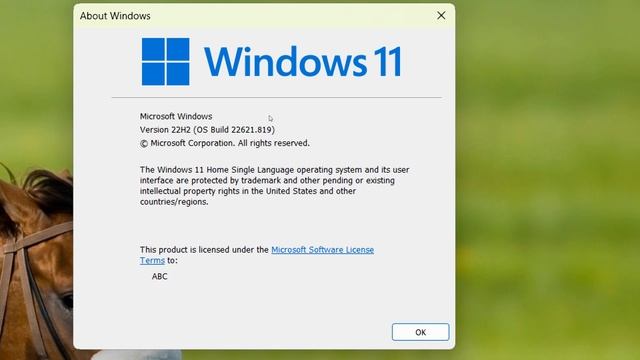 Windows Version kese check karen I How to check windows version in pc/laptop смотреть онлайн