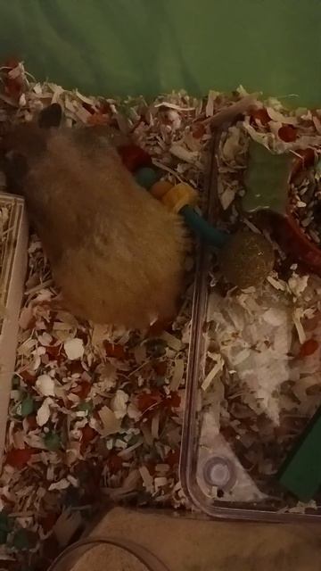 Don't get in her way when she's digging lol смотреть онлайн