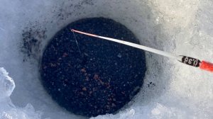 ЧЁРНАЯ ЛУНКА...РАЗДАЁТ КРУПНЯК в ГЛУХОЗИМЬЕ! Каждый заброс-удар! Зимняя рыбалка