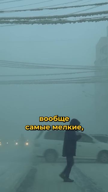 Почему у нас в сфере такси такой монополизм? смотреть онлайн