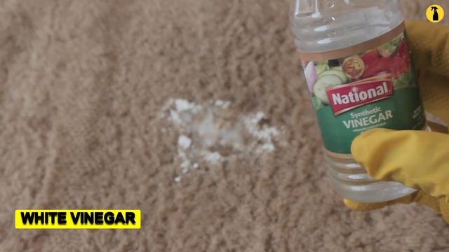 Fastest Way to Remove Dried Tea Stains from Carpet смотреть онлайн