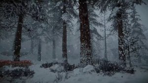 Невероятные звуки, помогающие избавиться от бессонницы и стресса