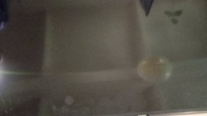 SAMSUNG UE50TU8000U ПЕРЕЗАГРУЗКА ИЗ ЗА МАТРИЦЫ