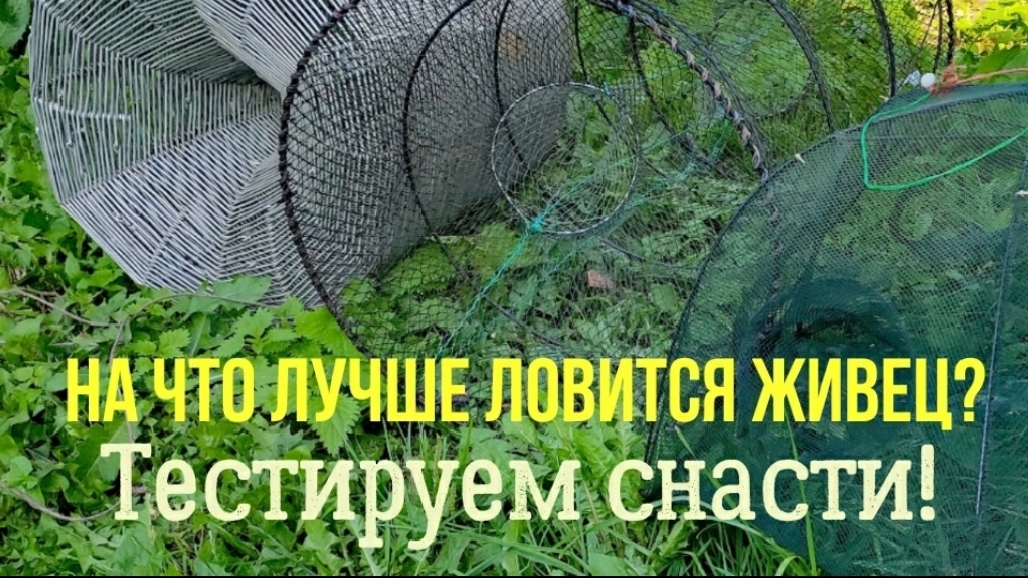 На что лучше ловится живец? Тестируем снасти.